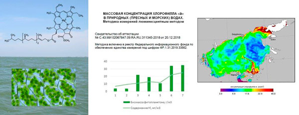 Изображение на обложке