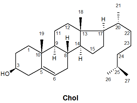 Graphical Abstract